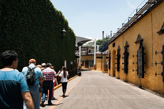 Tequila Distillery Experience, Jose Cuervo & Tequila Magic Town - Tour Logistics and Inclusions