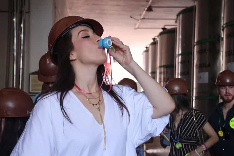 Tequila Express: the Only Tequila Tour All Inclusive - Itinerary Highlights