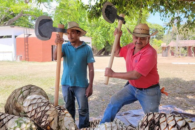 Tequila Farm & Distillery Tour W/ Transport From Puerto Vallarata - Key Points