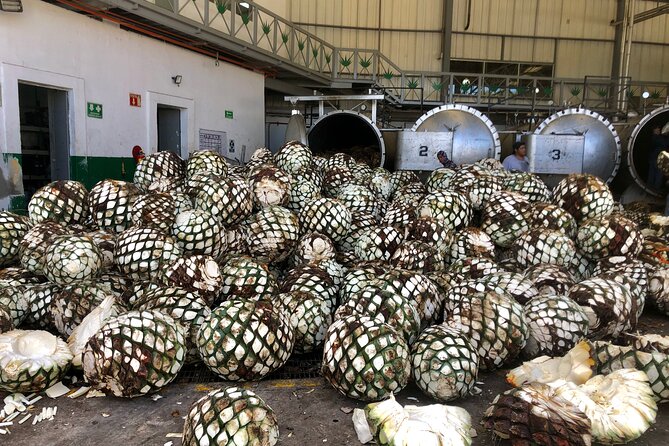 Tequila Full Experience! - Flexibility and Accessibility