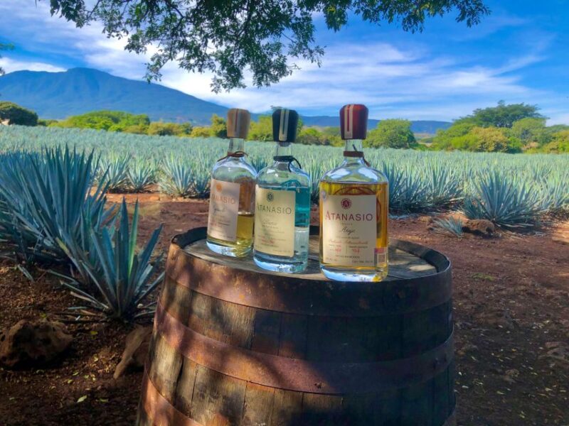 Tequila Full Experience - Itinerary and Activities