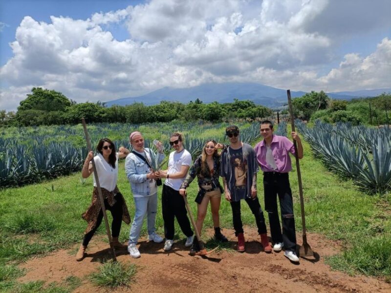Tequila Full Experience - Language and Group Details