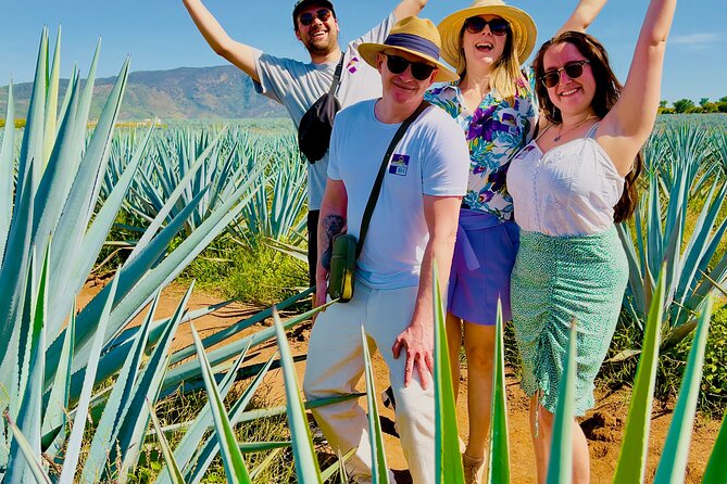 Tequila/Guachimontones Tour-Cultural Heritage Route - Inclusions and Transportation