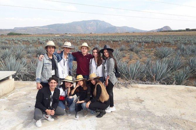 Tequila, Lemon and Salt Tour - Visiting Jalisco - Highlights of the Experience