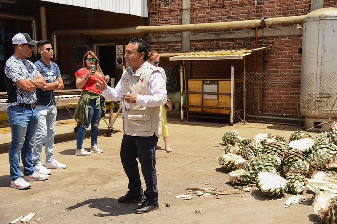 Tequila Route Experience From Guadalajara - Accessibility and Recommendations