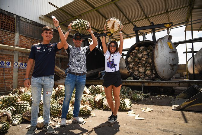 Tequila Route Experience From Guadalajara - Customer Feedback