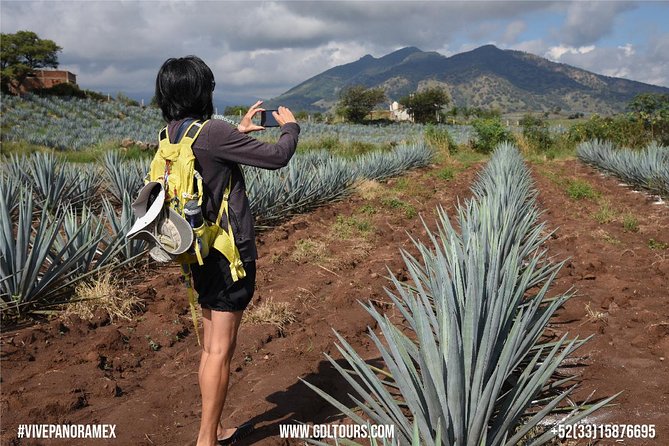 Tequila Route Experience From Guadalajara - Exploring Tequila Town