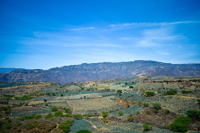 Tequila Tour With Tasting. - Tour Experience