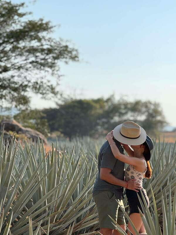 Tequila: Town and Distillery Guided Tour with Tastings - Key Points