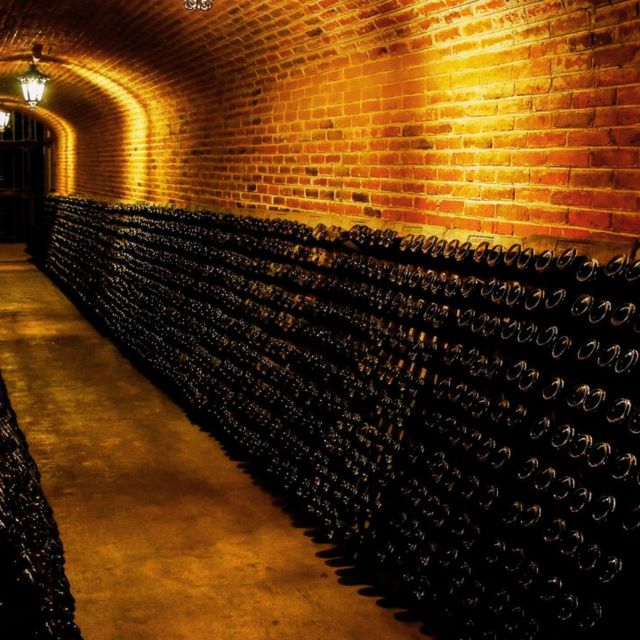 Tequisquiapan Cheese and Wine Route Premium - Key Points