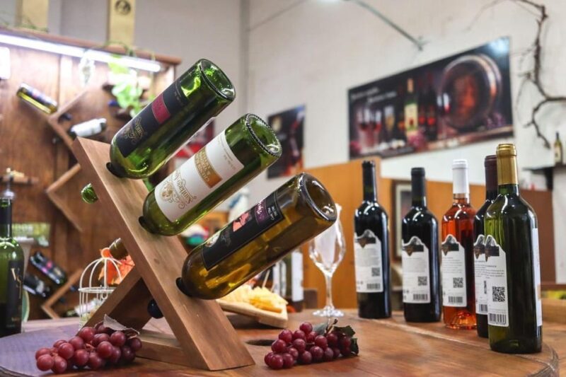 Tequisquiapan: UTV Adventure With Winery and Cheese Tasting - Key Points