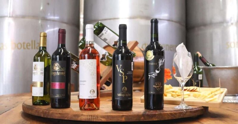 Tequisquiapan: UTV Adventure With Winery and Cheese Tasting - Inclusions and Additional Costs