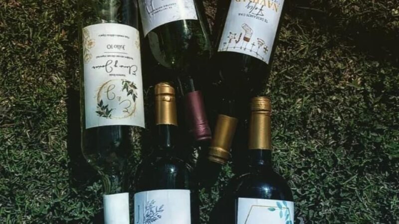 Tequisquiapan: UTV Adventure With Winery and Cheese Tasting - Customer Ratings and Reviews