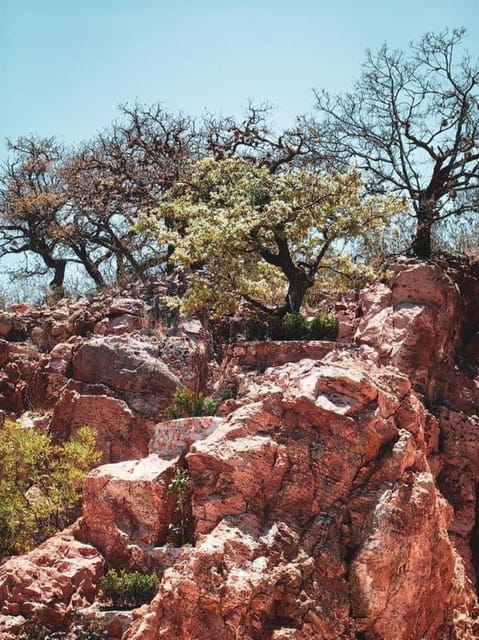 Tequisquiapan: UTV Tour to Opal Mine With Art Workshop - Opal Mining History