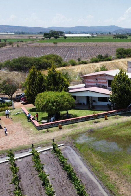 Tequisquiapan: UTV Tour With Wine Tasting and Cheese Pairing - Pricing and Discounts