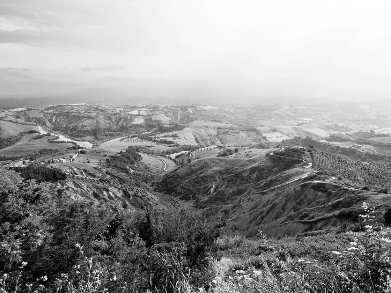 Teramo: Private Oil Mill Tour and Guided Tasting - Key Points