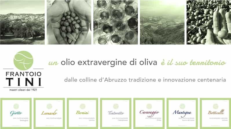 Teramo: Private Oil Mill Tour and Guided Tasting - Overview of Frantoio Tini Oil Mill