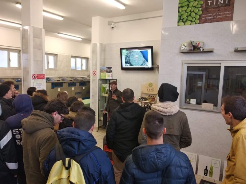 Teramo: Private Oil Mill Tour and Guided Tasting - Tasting Experience Highlights