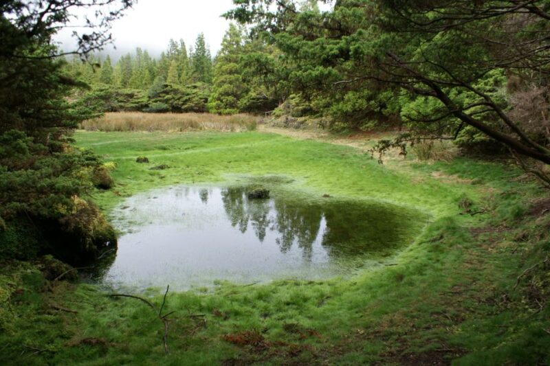 Terceira Island: 4x4 Land Rover Tour With Traditional Lunch - Guided Tour Details