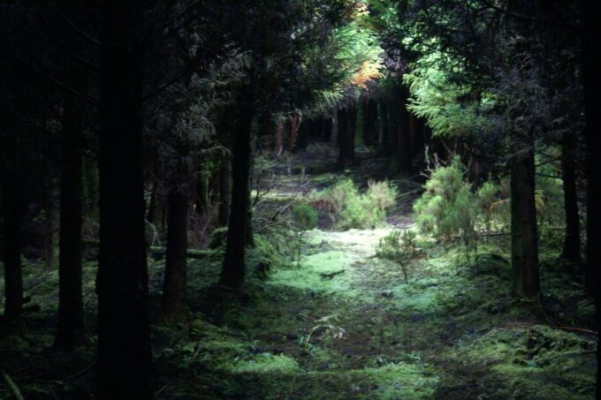 Terceira Island: 4x4 Land Rover Tour With Traditional Lunch - Discovering Terceiras Landscapes
