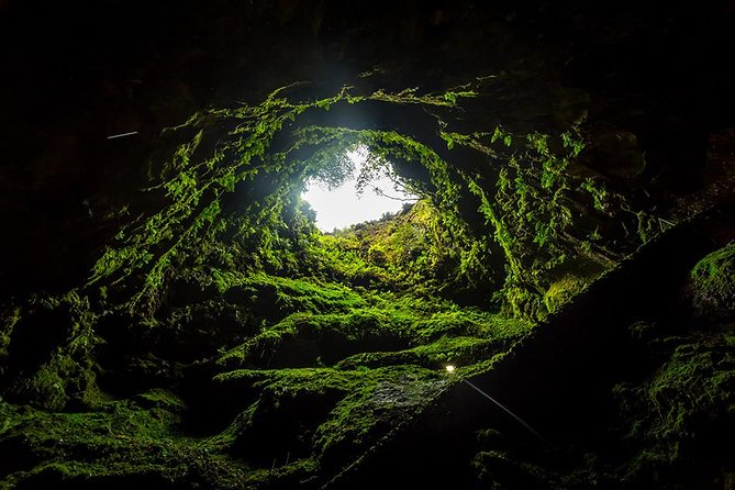 Terceira Island Caves Tour - Half Day (Afternoon) - Customer Feedback and Ratings