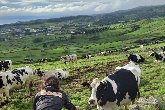 Terceira Island Full Day Jeep Tour - Health and Accessibility