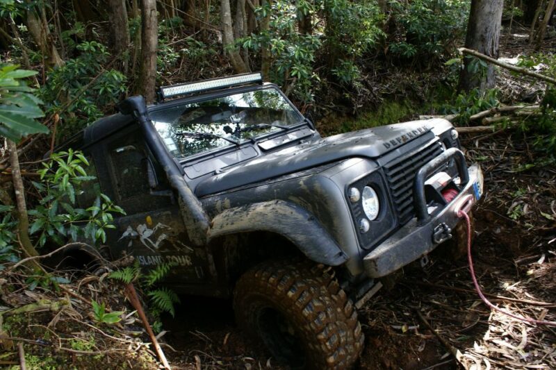 Terceira Island: Full-Day Mud Adventure & Traditional Lunch - Customer Reviews and Ratings