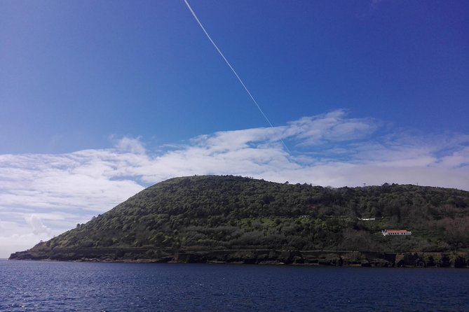 Terceira Island Full Day Tour - Price and Inclusions