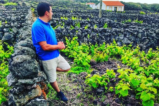 Terceira Island Full Day Tour - Tour Overview
