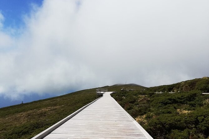 Terceira Island Full Day Tour - Additional Stops
