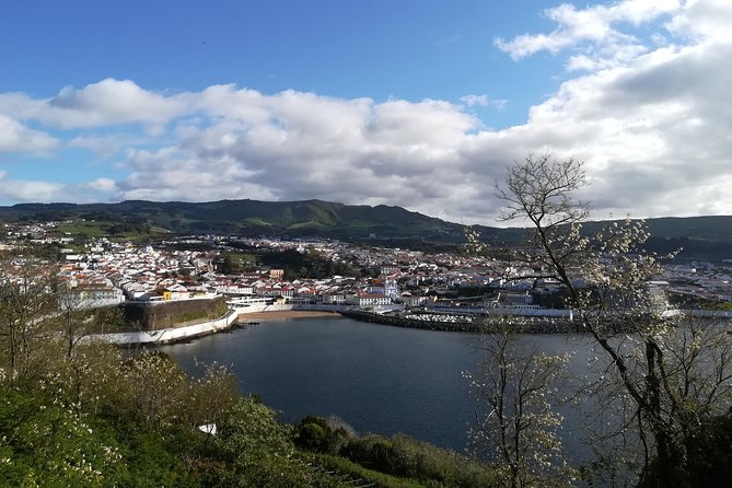 Terceira Island Half Day Tour - Traveler Experiences and Guides