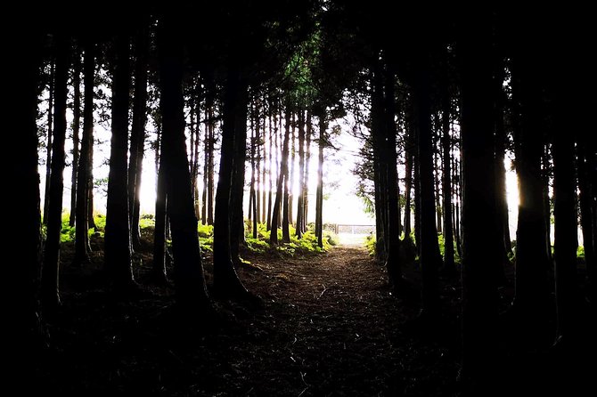 Terceira Island Private Tour: Full-Day - Tour Overview