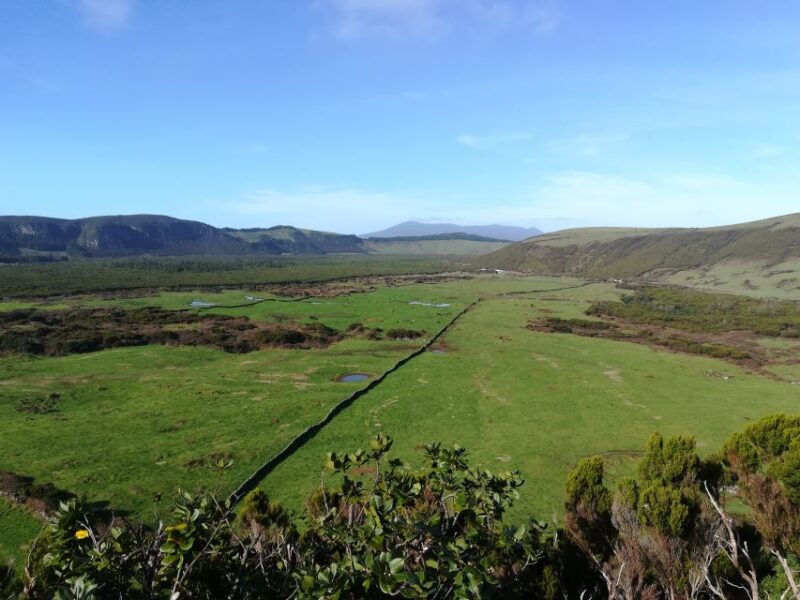 Terceira: Island Trails Scenic Hiking Tour With Transfer - Key Points