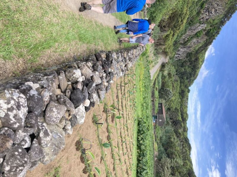 Terceira: Island Trails Scenic Hiking Tour With Transfer - Mistérios Negros Walking Trail