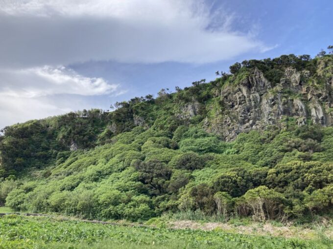 Terceira: Island Trails Scenic Hiking Tour With Transfer - Experience Highlights