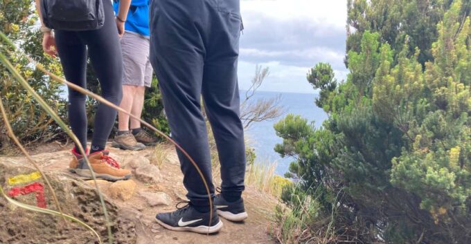 Terceira: Island Trails Scenic Hiking Tour With Transfer - Frequently Asked Questions