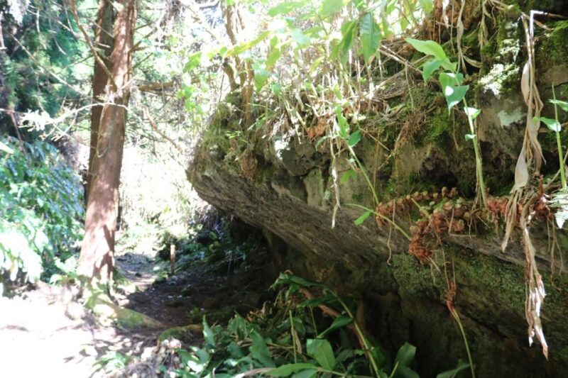 Terceira Island: Walking Trails Hiking Tour - Preparation and Recommendations