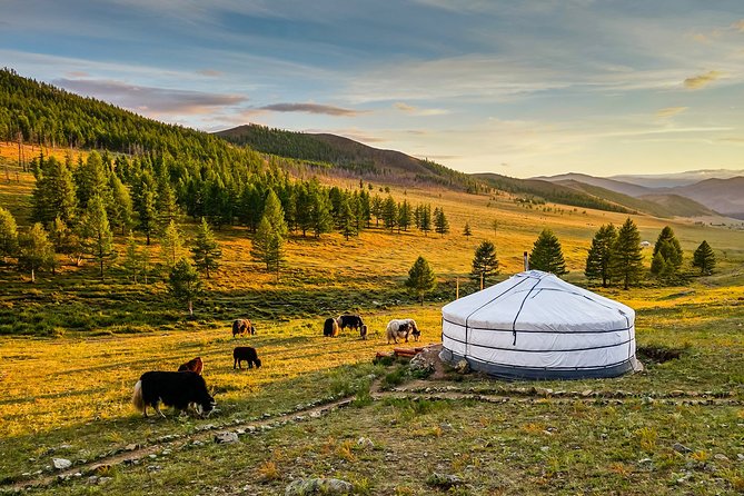 Terelj National Park Day Trip From Ulaanbaatar - Breathtaking Landscapes