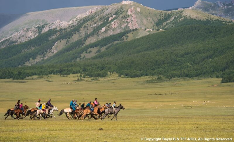 Terelj National Park: Tour With Horse Riding and Hiking - Key Points
