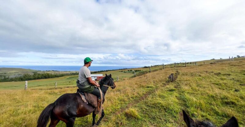 Terevaka Horse Excursion: the Highest Point and 360° View. - Key Points