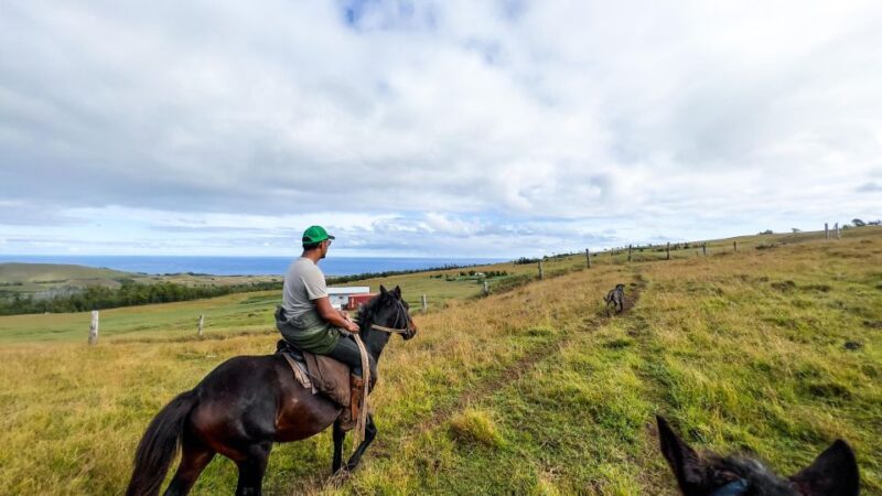 Terevaka Horse Excursion: the Highest Point and 360° View. - Itinerary and Experience