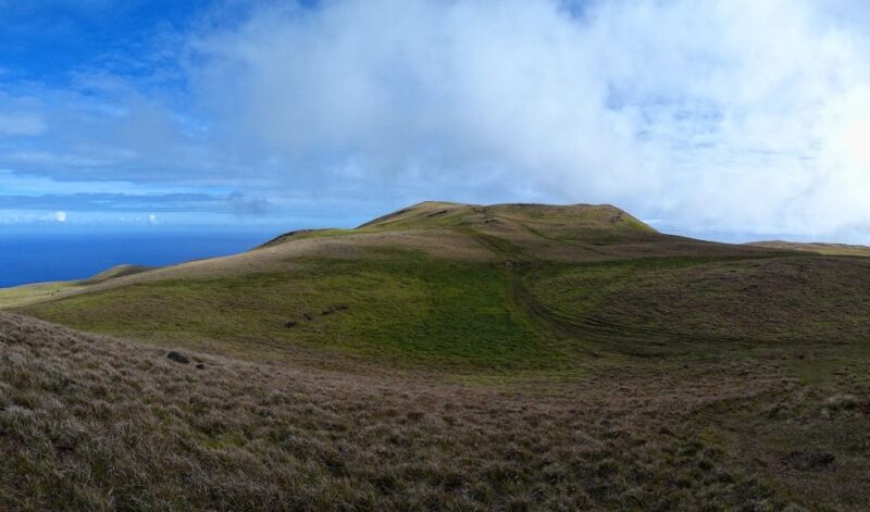 Terevaka Horse Excursion: the Highest Point and 360° View. - Customer Feedback Highlights