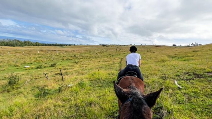 Terevaka Horse Excursion: the Highest Point and 360° View. - Booking and Cancellation
