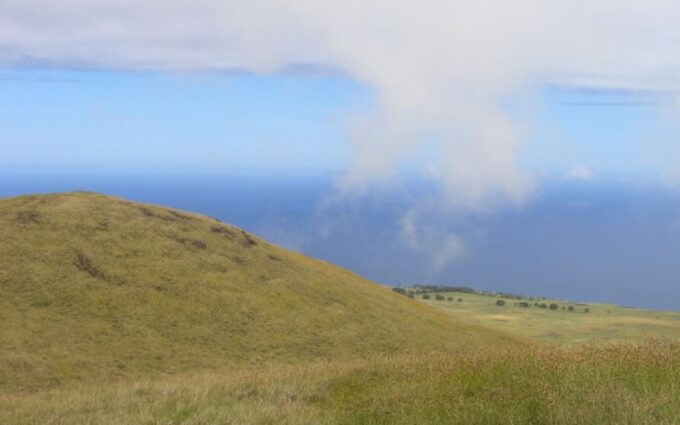 Terevaka Horse Excursion: the Highest Point and 360° View. - Pickup and Transportation
