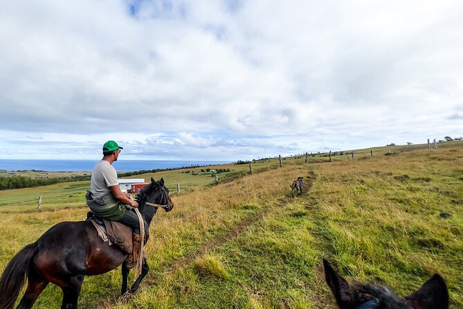Terevaka Private Tour to the Highest Point of Rapa Nui - Key Points