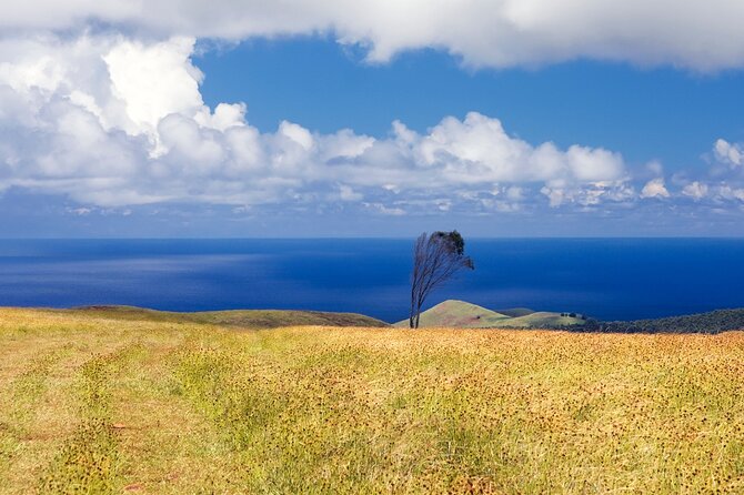 Terevaka Private Tour to the Highest Point of Rapa Nui - Whats Included in the Tour