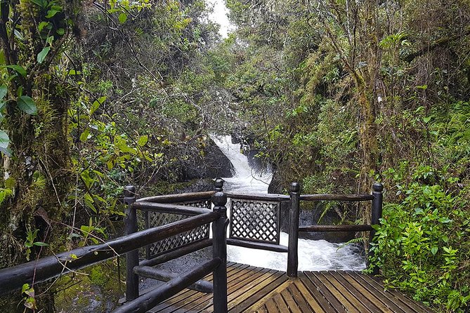 Termas De Papallacta Hot Springs Full Day Tour From Quito - Included in the Tour