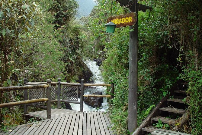 Termas De Papallacta Private Full-Day Tour & Hiking in the Forest - Spa Tickets - Tour Overview