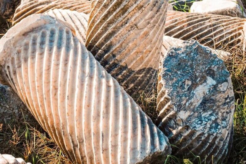 Termessos, Antalya Museum, and Kaleici Day Tour - Inclusions and Exclusions