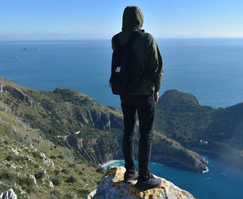 Terms: Punta Campanella Hiking Tour - Experience Highlights